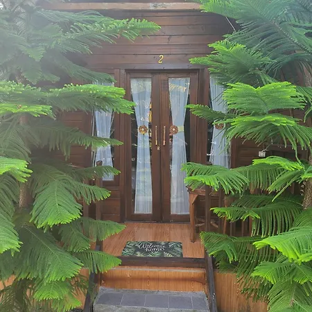 Jambu Guesthouse Nusa Penida